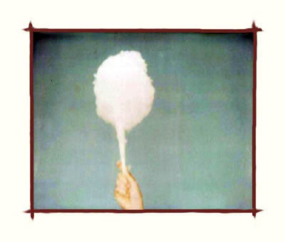 cotton