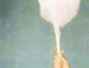 cotton